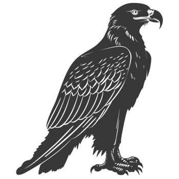 AI generated Silhouette eagle animal black color only full body png