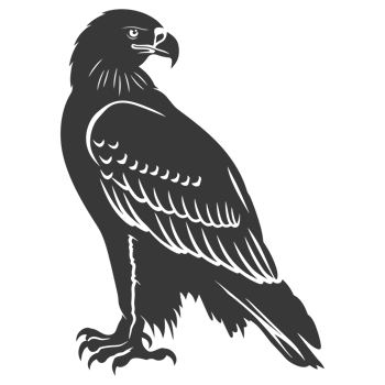 AI generated Silhouette eagle animal black color only full body png