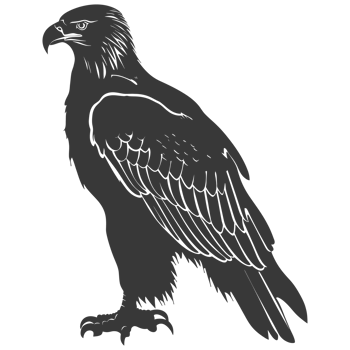 AI generated Silhouette eagle animal black color only full body png