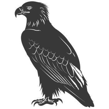 AI generated Silhouette eagle animal black color only full body png