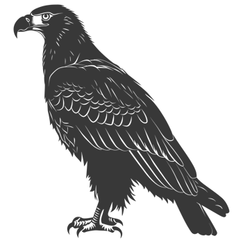 AI generated Silhouette eagle animal black color only full body png