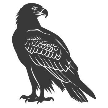 AI generated Silhouette eagle animal black color only full body png