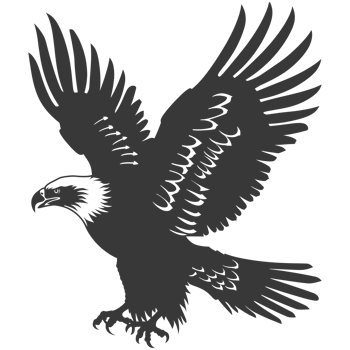 AI generated Silhouette eagle animal black color only full body png