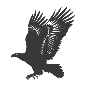 AI generated Silhouette eagle animal fly black color only full body png