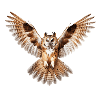 AI generated Owl spreading wingss png isolated on transparent background