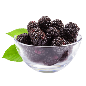 AI generated Bowl with fresh ripe blackberries png