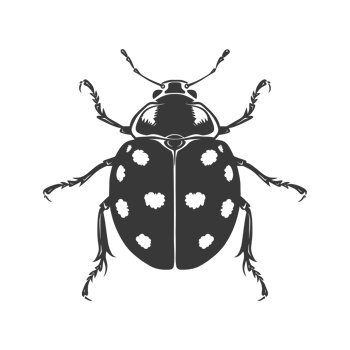AI generated Silhouette ladybug animal black color only png