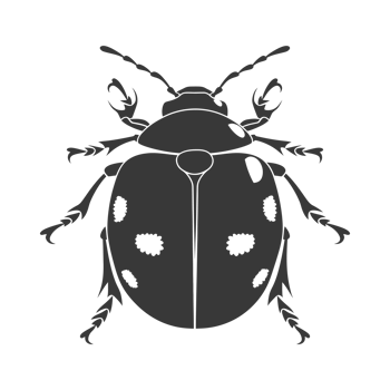 AI generated Silhouette ladybug animal black color only png