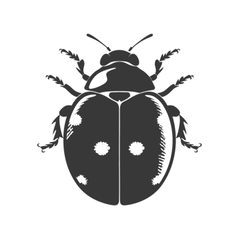 AI generated Silhouette ladybug animal black color only png