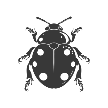 AI generated Silhouette ladybug animal black color only png
