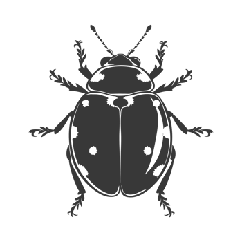 AI generated Silhouette ladybug animal black color only png