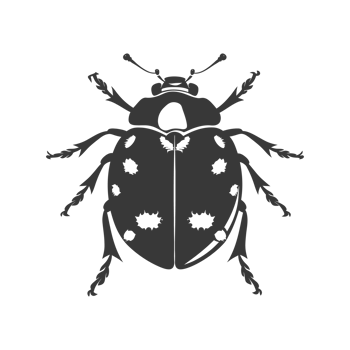 AI generated Silhouette ladybug animal fly black color only png