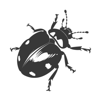 AI generated Silhouette ladybug animal fly black color only png