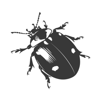 AI generated Silhouette ladybug animal fly black color only png
