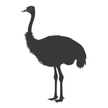 AI generated Silhouette ostrich animal black color only full body png
