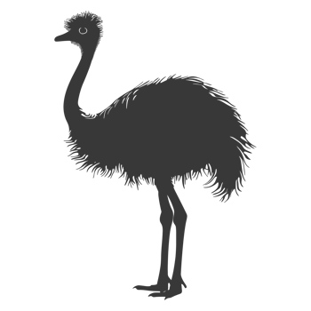 AI generated Silhouette ostrich animal black color only full body png