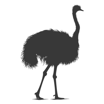 AI generated Silhouette ostrich animal black color only full body png