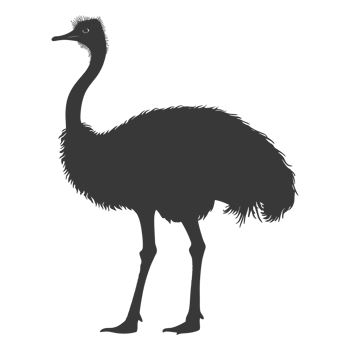 AI generated Silhouette ostrich animal black color only full body png
