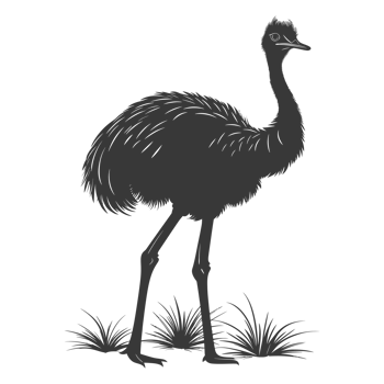 AI generated Silhouette ostrich animal black color only full body png