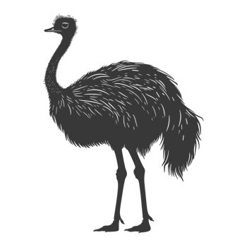 AI generated Silhouette ostrich animal black color only full body png