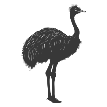 AI generated Silhouette ostrich animal black color only full body png