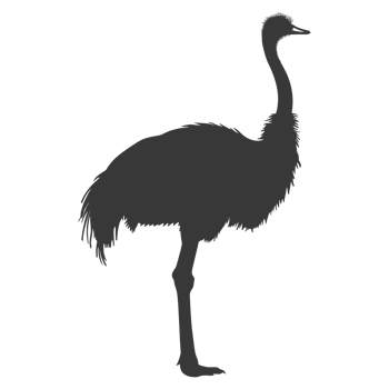 AI generated Silhouette ostrich animal black color only full body png