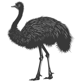 AI generated Silhouette ostrich animal black color only full body png