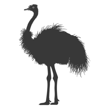 AI generated Silhouette ostrich animal black color only full body png