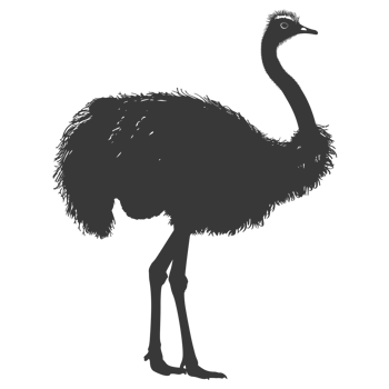 AI generated Silhouette ostrich animal black color only full body png