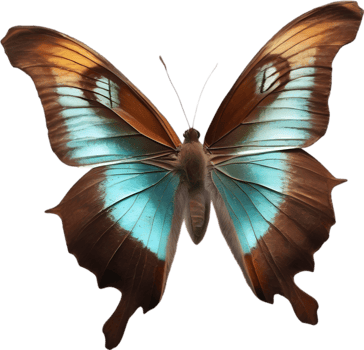 AI generated Colorful and elegant butterfly image. png