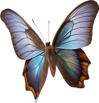 AI generated Colorful and elegant butterfly image. png
