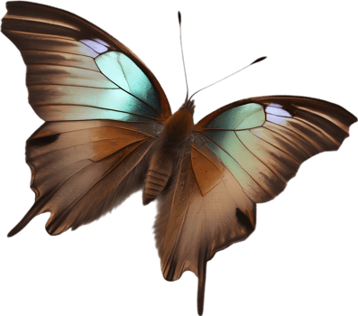 AI generated Colorful and elegant butterfly image. png