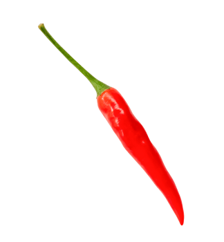 Top view of red chili pepper isolated with clipping path in png file format