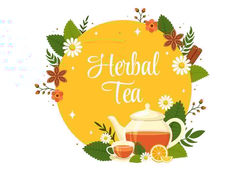 Herbal Tea Vector Illustration with Chamomile Leaves of Health Drink Green and Mixture of Flowers to Increase Endurance in Flat Cartoon Background