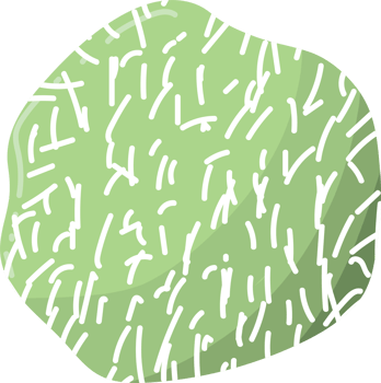 Indonesian traditional cakes klepon png