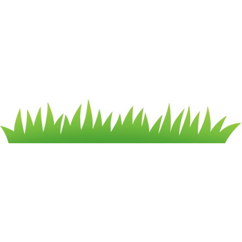 Grass, Green grass silhouette. Cartoon lines of plants and shrubs for boarding and framing, spring field planting shapes lawn or borders garden. png