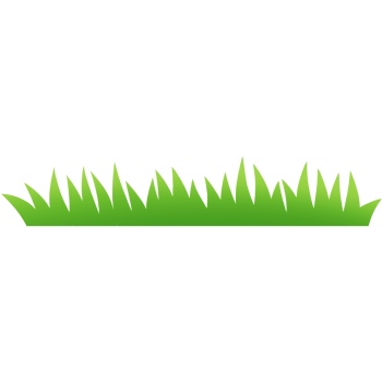 Grass, Green grass silhouette. Cartoon lines of plants and shrubs for boarding and framing, spring field planting shapes lawn or borders garden. png