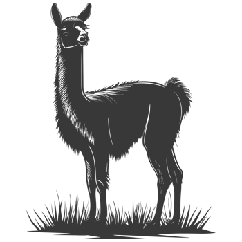 AI generated Silhouette llama animal black color only full body png