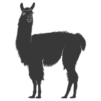 AI generated Silhouette llama animal black color only full body png