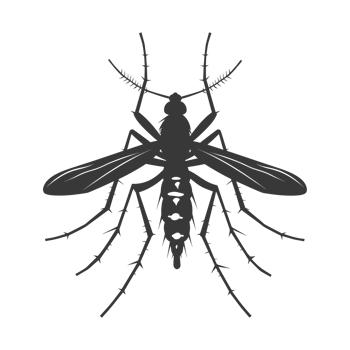 AI generated Silhouette mosquito animal black color only full body png