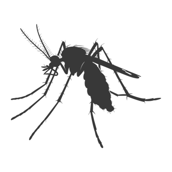 AI generated Silhouette mosquito animal black color only full body png