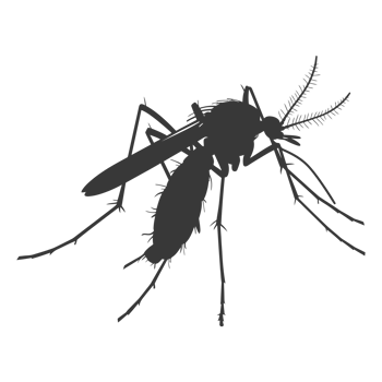 AI generated Silhouette mosquito animal black color only full body png