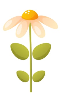 One white delicate chamomile flower. Spring, summer flowering, floral design, garden ornamental plant. Flower vector clipart suitable for stickers, scrapbooking, cards, poster, banner.
