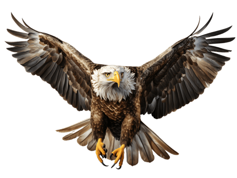 AI generated Eagle Flying with Spread Wings Isolated on Transparent Background. Close Up of a Hawk. Generative Ai png