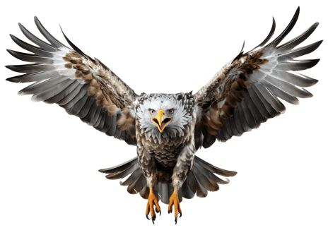 AI generated Eagle Flying with Spread Wings Isolated on Transparent Background. Close Up of a Hawk. Generative Ai png
