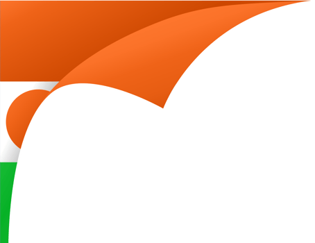 Niger flag wave png