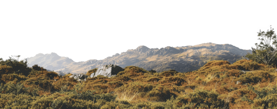 AI generated Barren rocky landscape with patches of dry grass and rugged terrain on transparent background - stock png. png