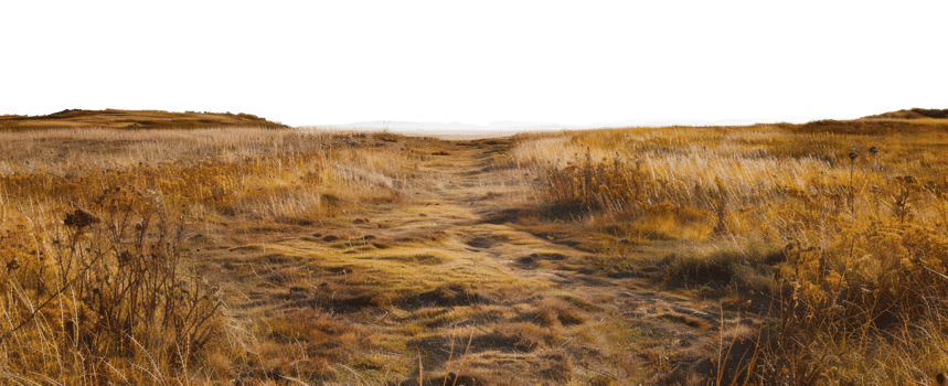 AI generated Landscape with patches of dry grass and rugged terrain on transparent background - stock png. png