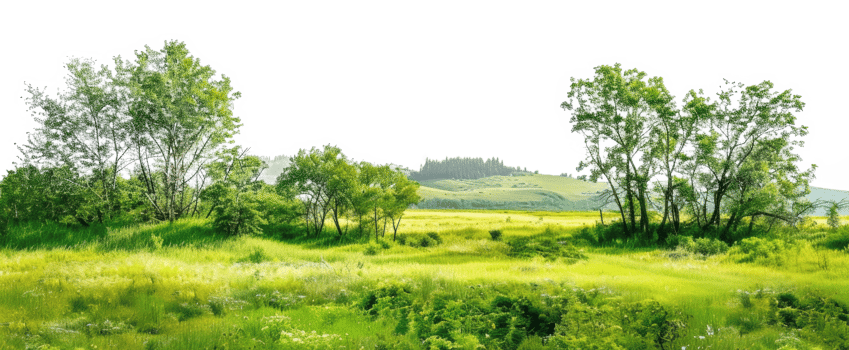 AI generated Wind-swept grassy hill with sparse trees in a serene landscape on transparent background - stock png. png