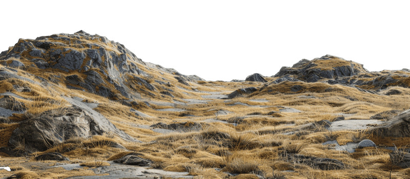 AI generated Barren rocky landscape with patches of dry grass and rugged terrain on transparent background - stock png. png